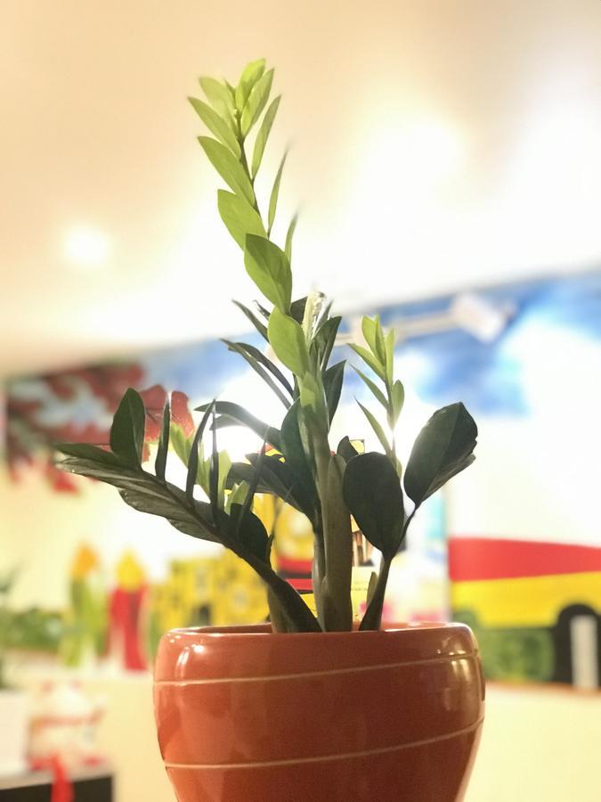 The Lily Hostel & Coffee Thành Pho Ho Chí Minh Esterno foto